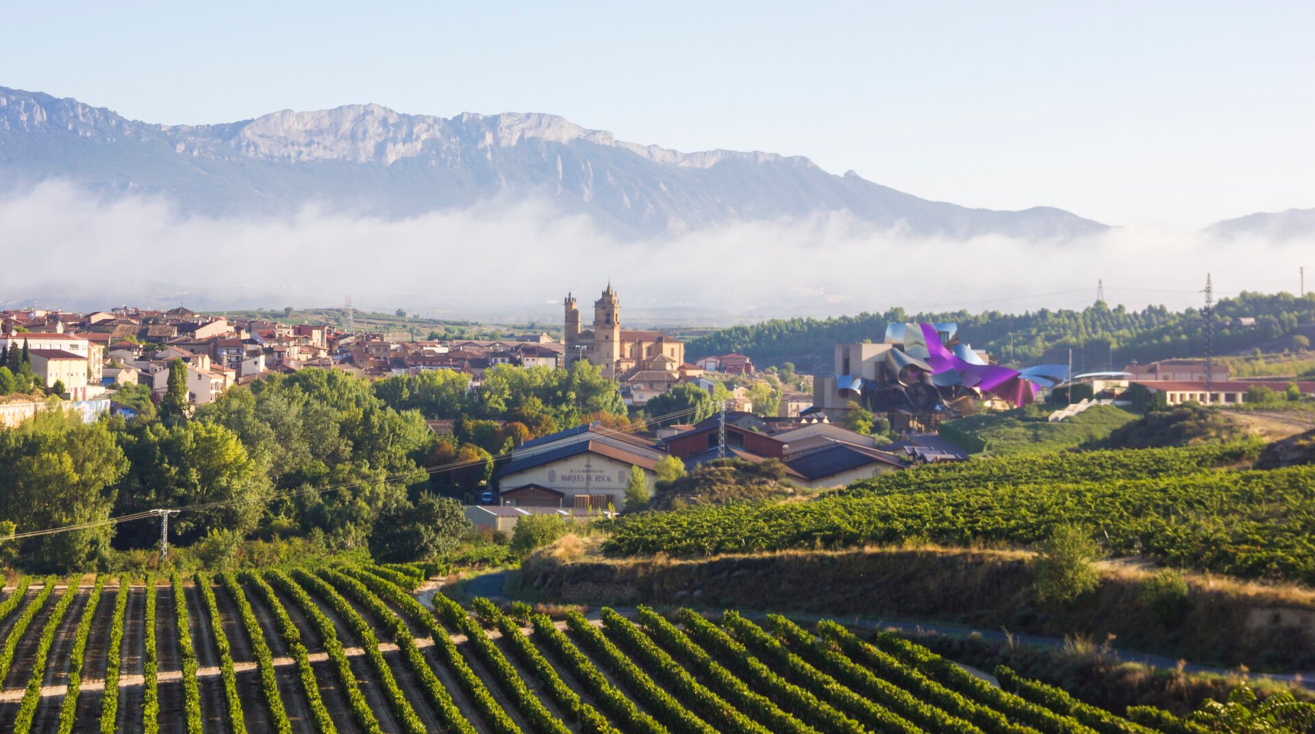 The camino frances scenery is well known for its wines under the brand Denominación de Origen Calificada Rioja.