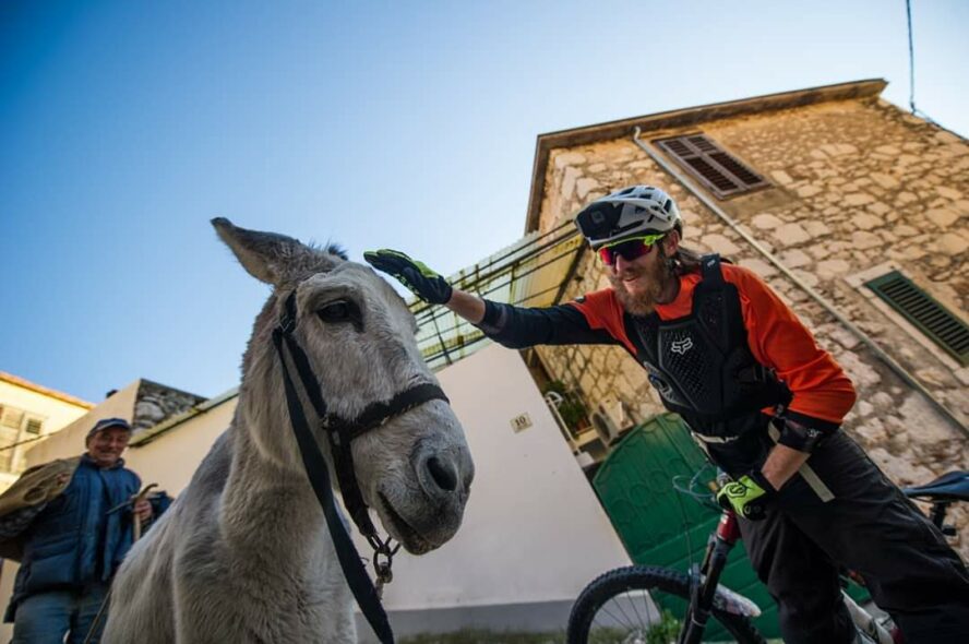 Ivo Jaric pets a local donkey on the island of Hvar.