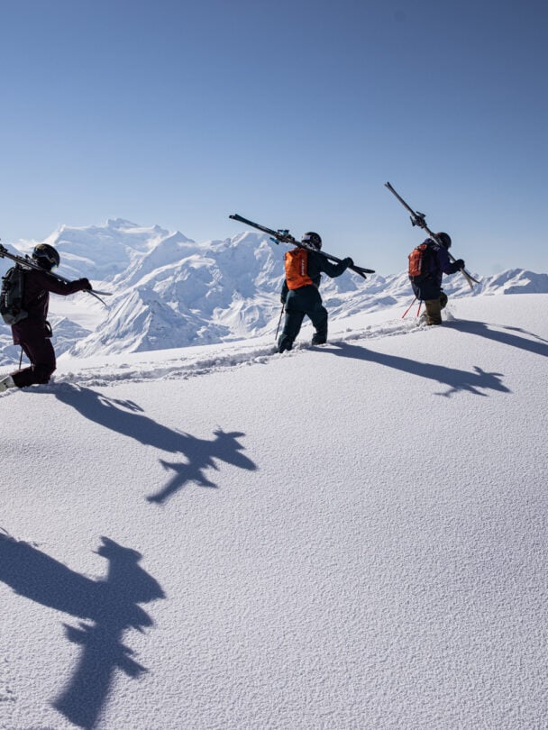 Guided ski tour of the Alps