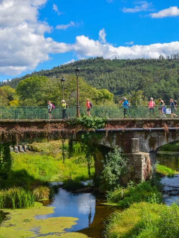 Guided tour of Camino de Santiago