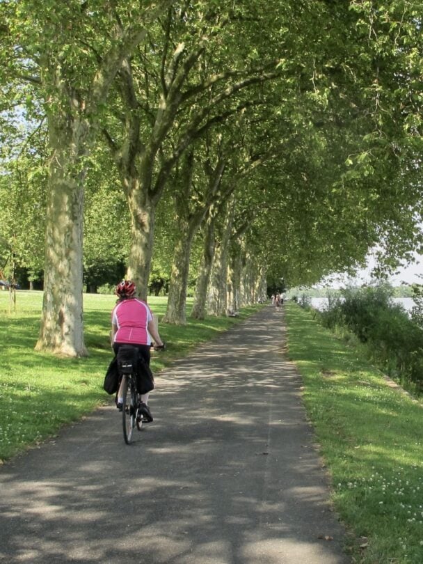 South Burgundy bike tour